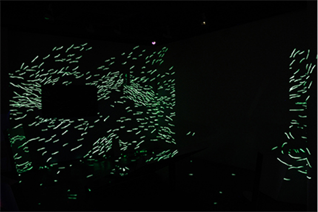 Hye Kyung Cho: Solo Exhibition. Phosphorescent tape, interactive installation