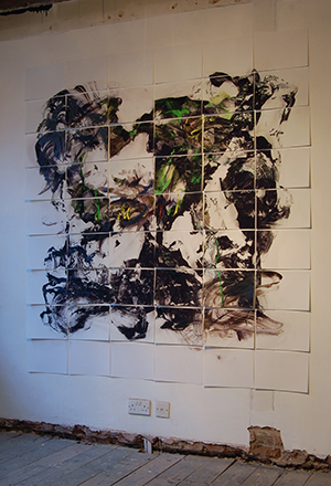 Liz Elton, Wick 1 Broken Version, 2013. Digital pigment prints and acrylic, installed at Hanmi Gallery.
