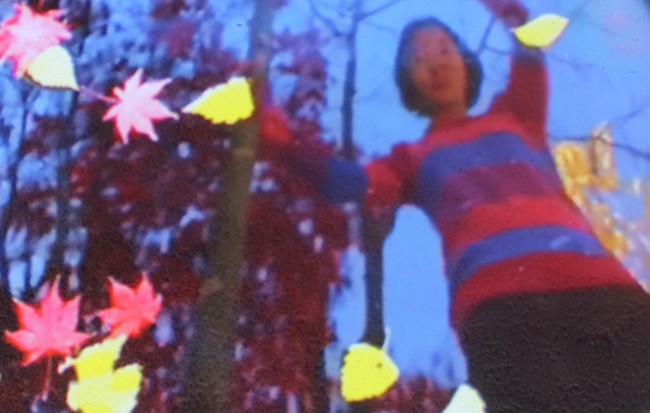 (Detail of) Chang Kyum Kim, Water Shadow Four Seasons 2, 2013-2014. Video installation 13:18 min.