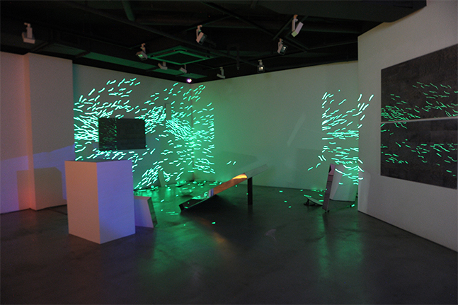 Hye Kyung Cho: Solo Exhibition. Installation View