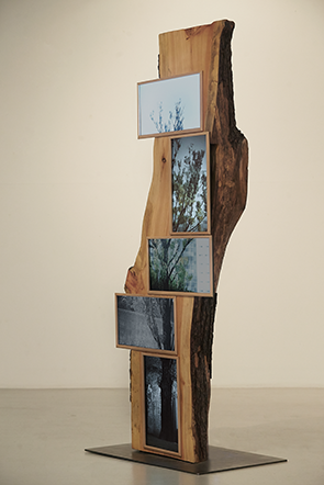 Guem MinJeong, Wailing Tree, 2014. Wood, LED Monitor, 250 x 250 x 250 cm.