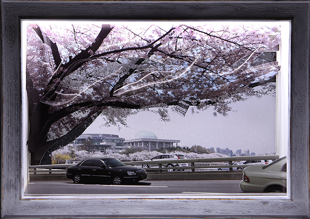 Geum MinJeong, Cherry Blossom Festival in Yeouido, 2012. Video Monitor, Photo, LED Light box, 50 x 76 x 20 cm.